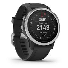 Garmin Fenix 6s Zilver